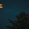 Waxing and Waning Moons: Navigating Emotional Highs and Lows in the UK Context