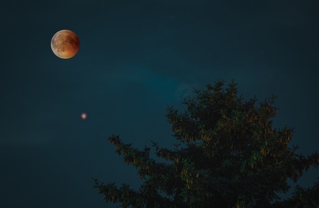 Waxing and Waning Moons: Navigating Emotional Highs and Lows in the UK Context