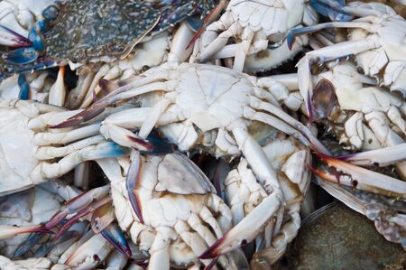 Cancer: Nurturing Wellbeing at Home – Self-Care Habits for the British Crab