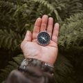 Unpacking the Stars: Weekly Career Guidance for Each Zodiac Sign in the British Workplace