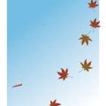 Autumn Equinox Insights: Balancing Life as the Days Grow Shorter in the UK