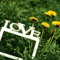 The Taurus and Cancer Match: A British Perspective on Zodiac Love