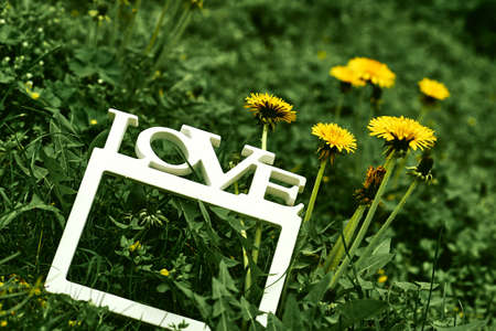 The Taurus and Cancer Match: A British Perspective on Zodiac Love