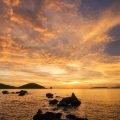 Summer Solstice Forecasts: Harnessing Maximum Light for Personal Growth