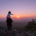 Travel, Home, and Career: British Year-Ahead Forecasts for Every Star Sign