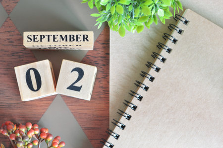 Seasonal Romance: How Zodiac Signs Approach Love Across the British Calendar