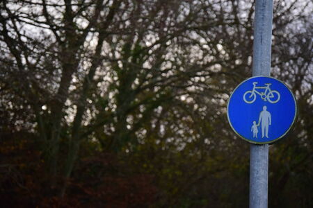 Pets, Animals, and Nature: A Zodiac Guide to Living Greener in the UK’s 2025