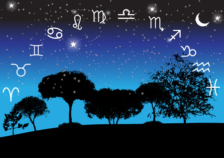 Star Signs and Their Gardening Styles