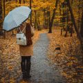 The British Autumn Forecast: Embracing Change and Cosy Traditions Through Astrology