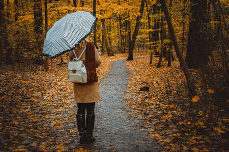 The British Autumn Forecast: Embracing Change and Cosy Traditions Through Astrology