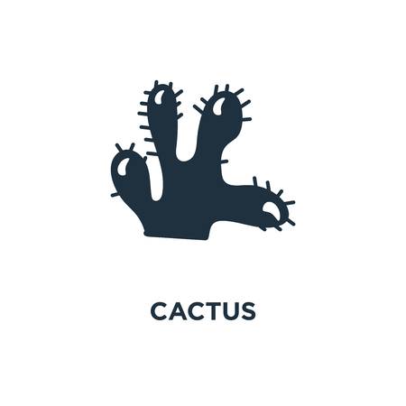 Structured Routes to Professional Growth