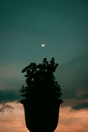 Lunar Phases, Emotional Energy, and Mindfulness Practices in UK Cities